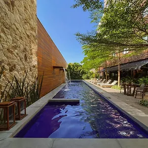 Pauli Boutique Fortaleza (Ceara)
